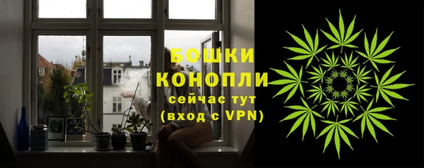 винт Вяземский