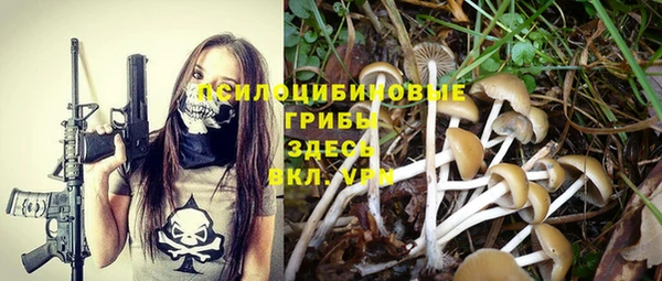 винт Вяземский